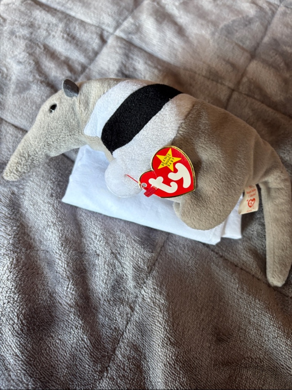 Ants Beanie Baby